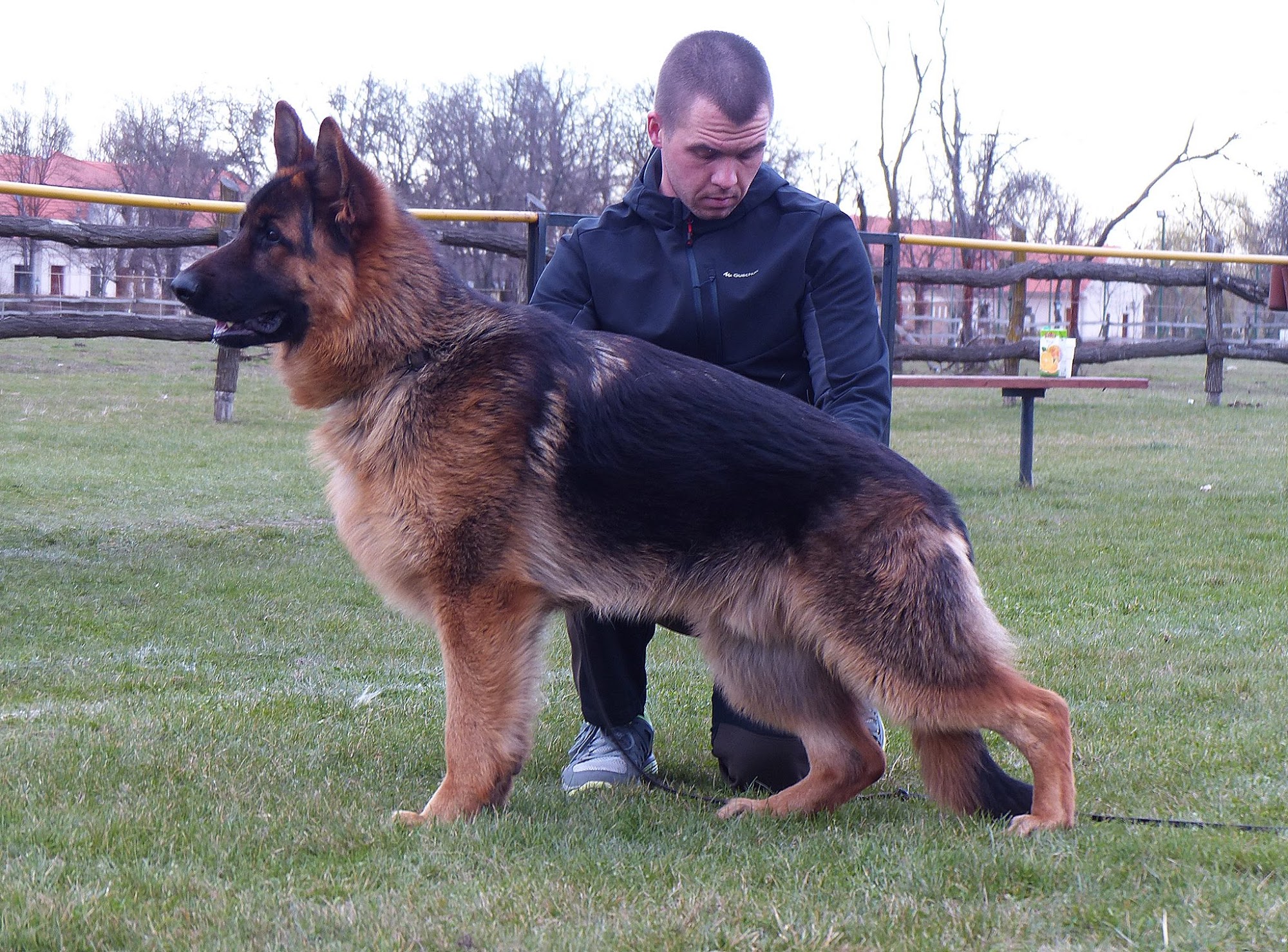 ICNDF Dog Training Center St. Augustine