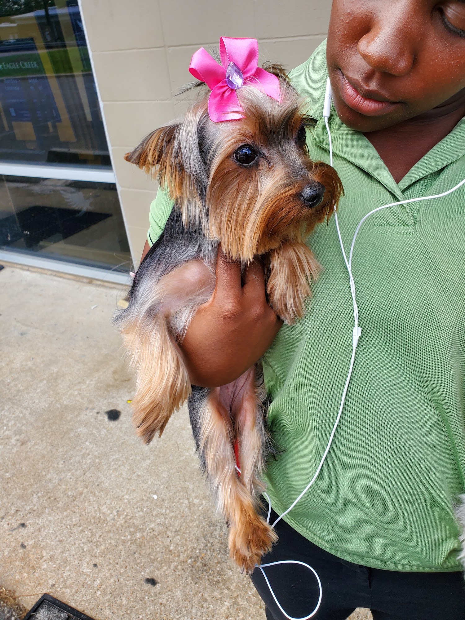 The Pink Poodle Tallahassee