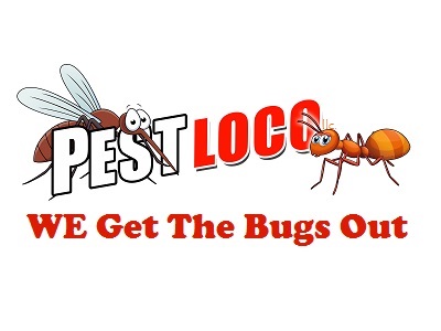 Pest Loco Termite & Pest Control