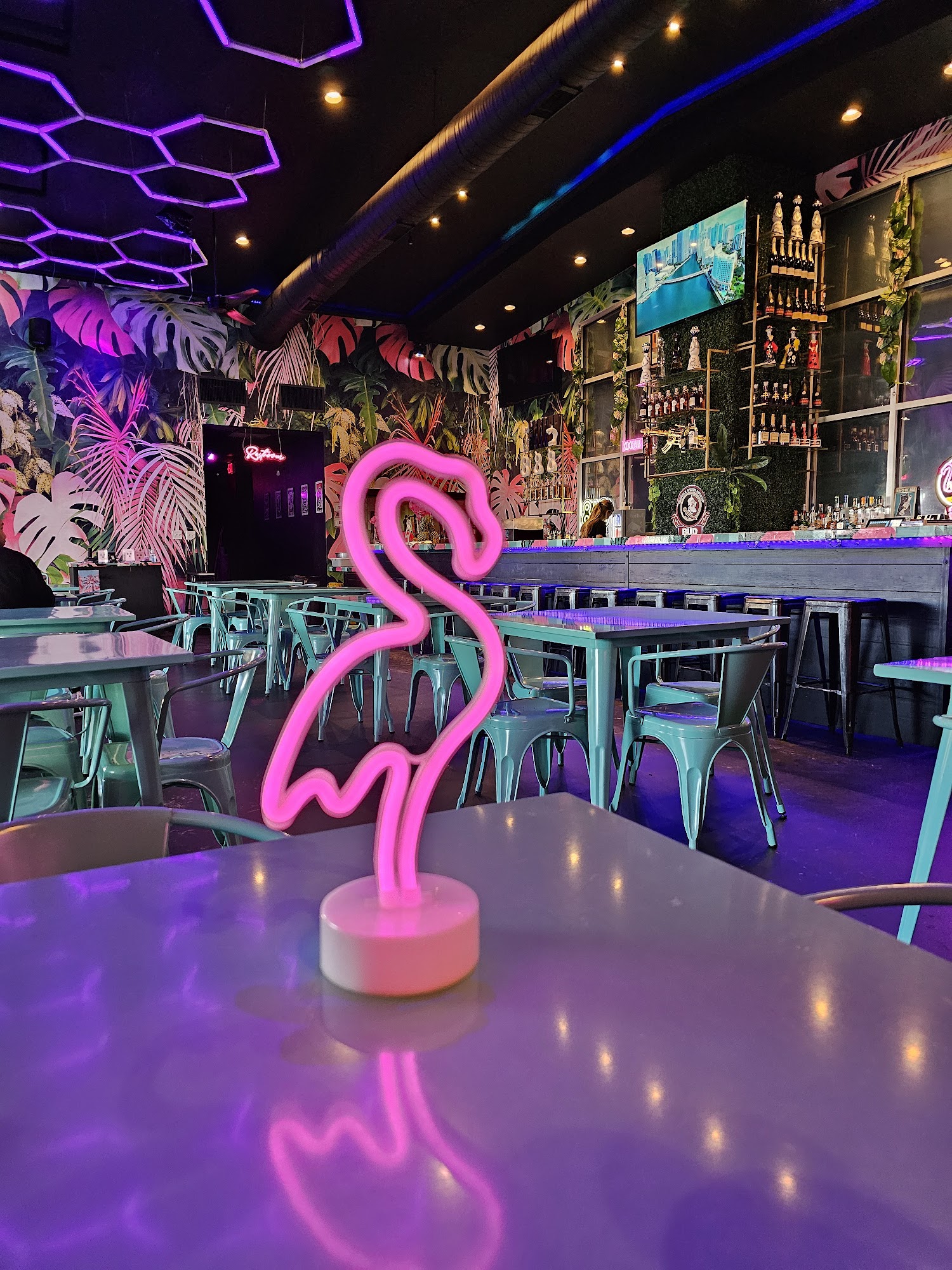 Flamingoz A Taste of Miami