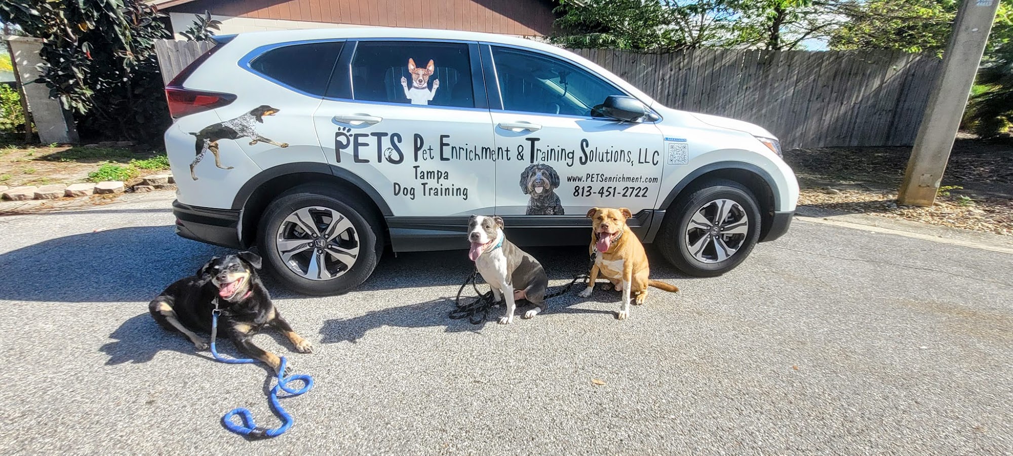 PETS Pet Enrichment and Training Solutions, LLC