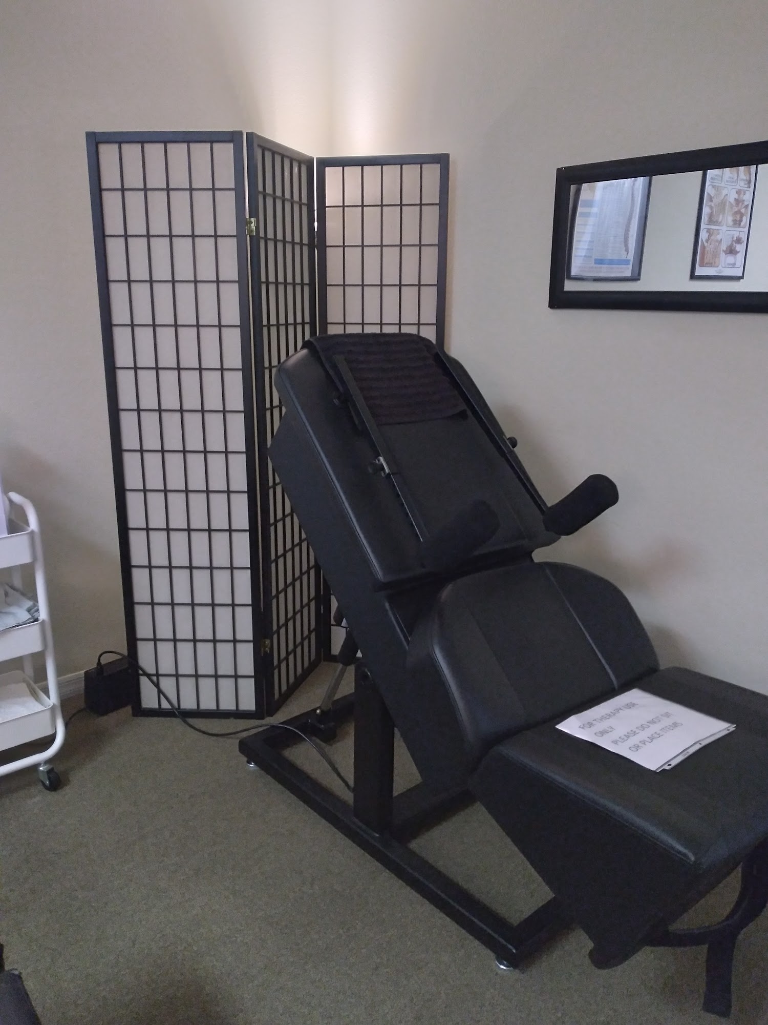 Wilson Chiropractic Therapy