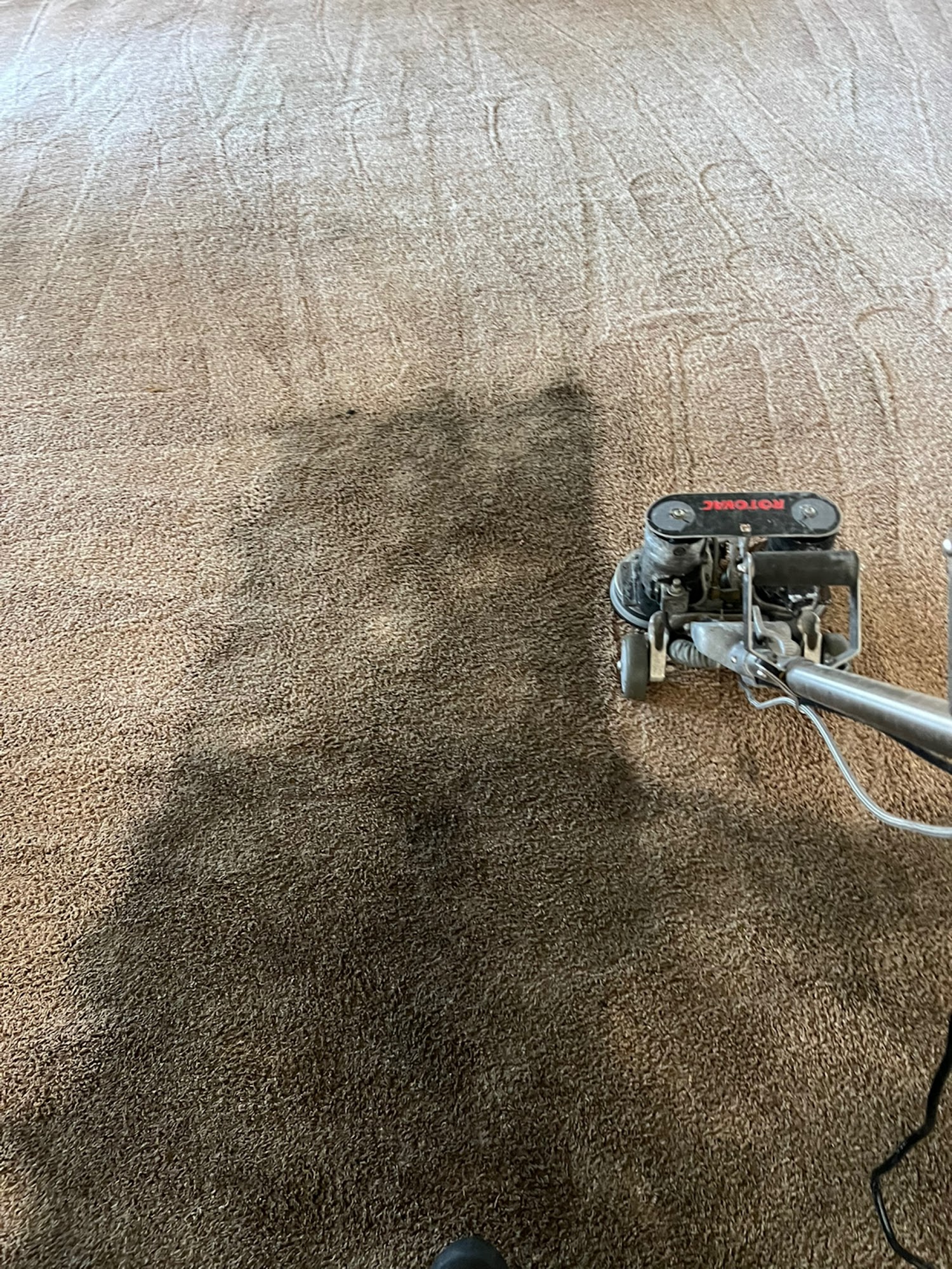 Same Day carpet cleaning, Inc