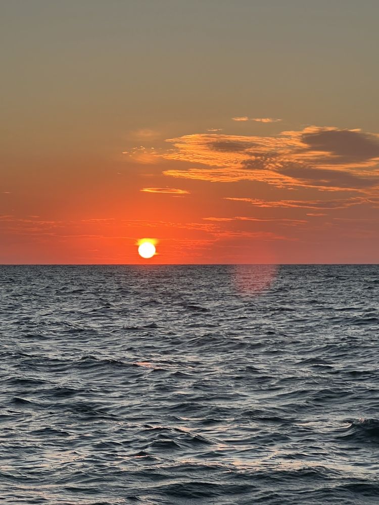 Photo credit: 