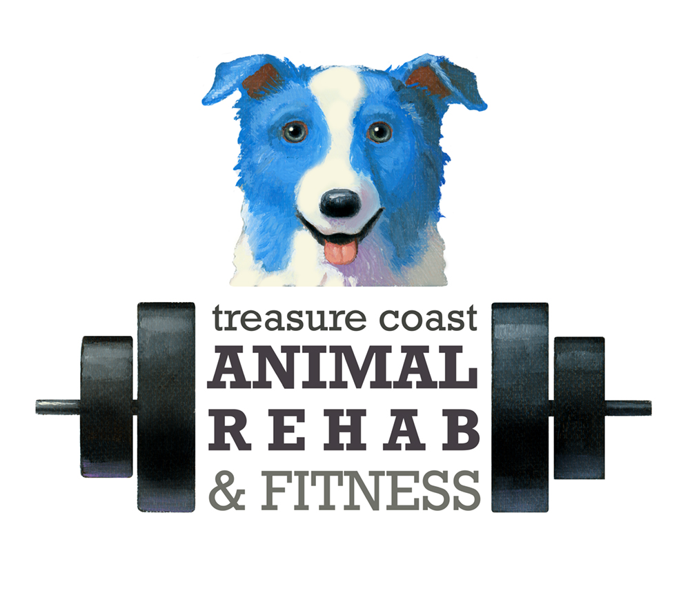 Treasure Coast Animal Rehabilitation & Fitness
