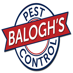 Balogh's Pest Control 7420 US-301, Webster Florida 33597