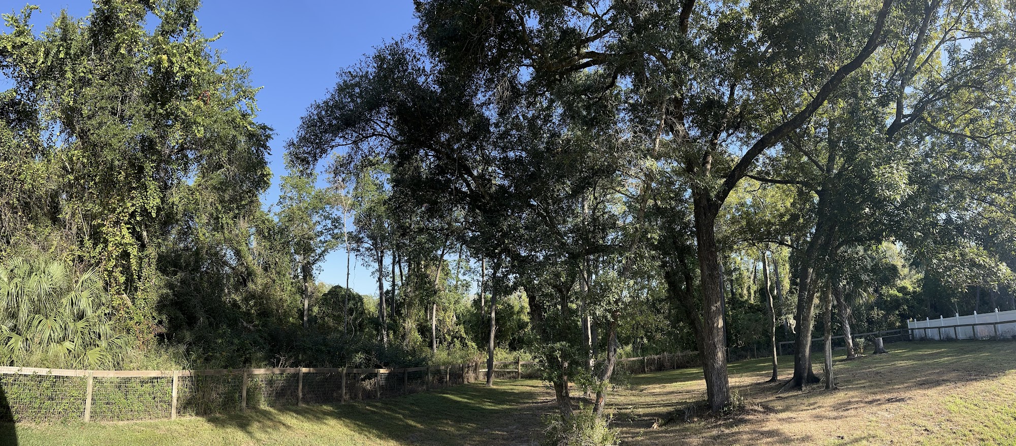 Bob's Land Clearing and Tree Service