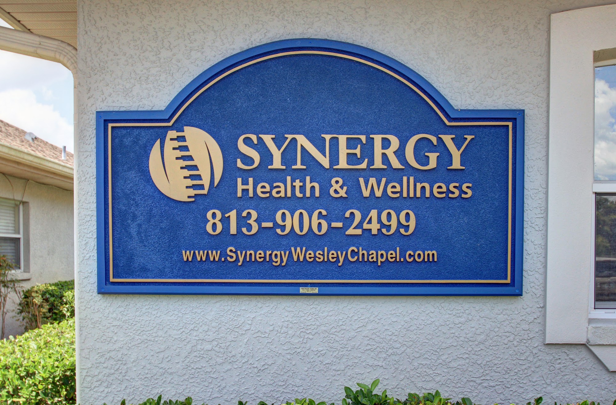 Synergy Health and Wellness