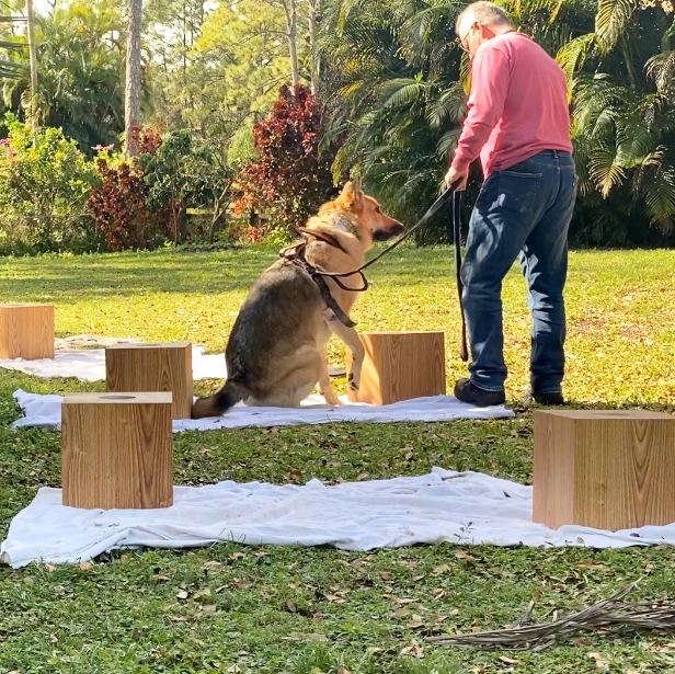 RamboTeam, LLc West Palm Beach