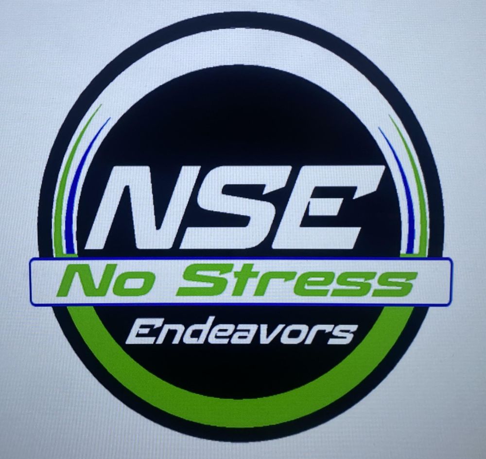 No Stress Endeavors LLC 416 NW 2nd Ave, Williston Florida 32696