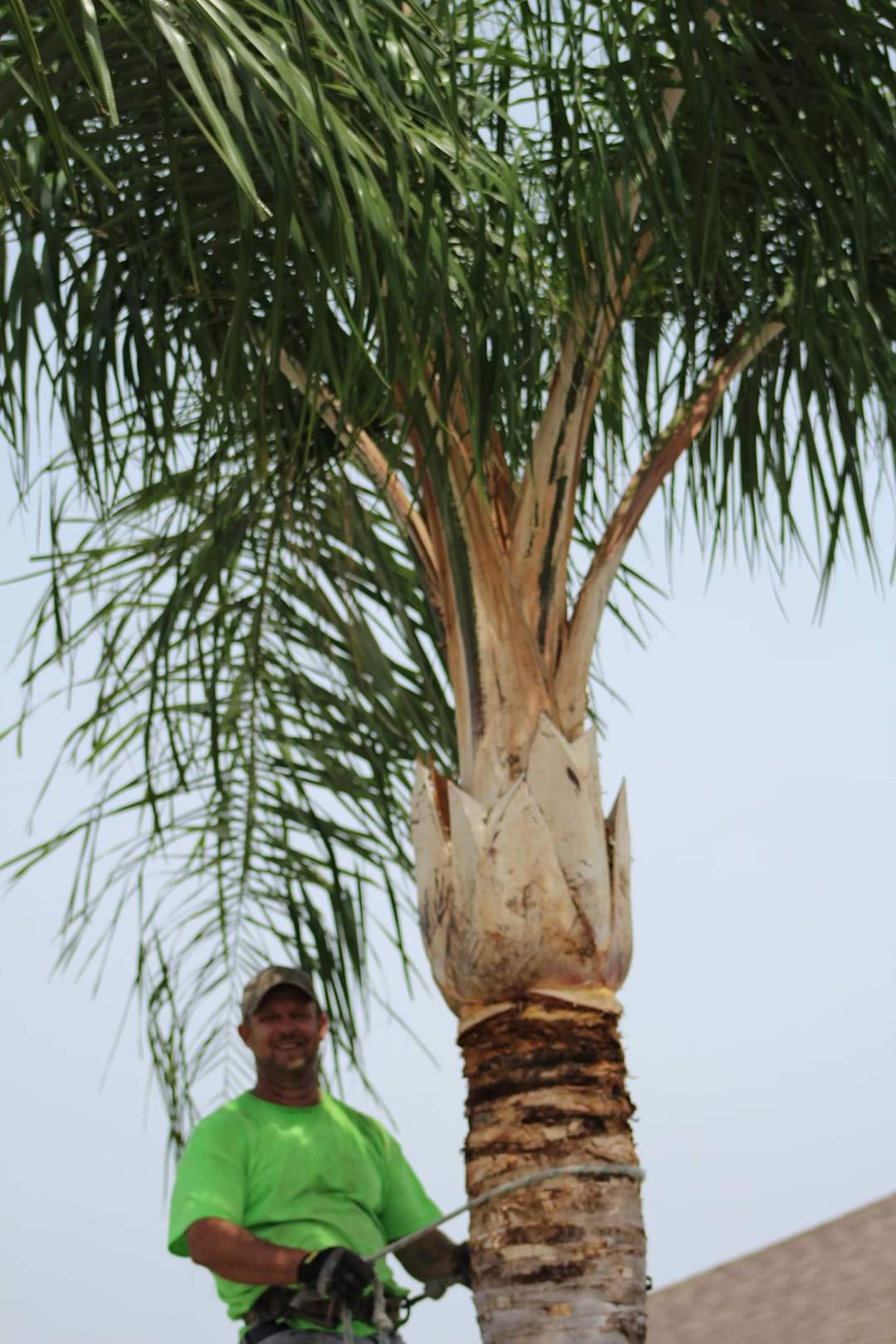 K & C Tree & Shrub Services 2504 West Lake Dr, Wimauma Florida 33598