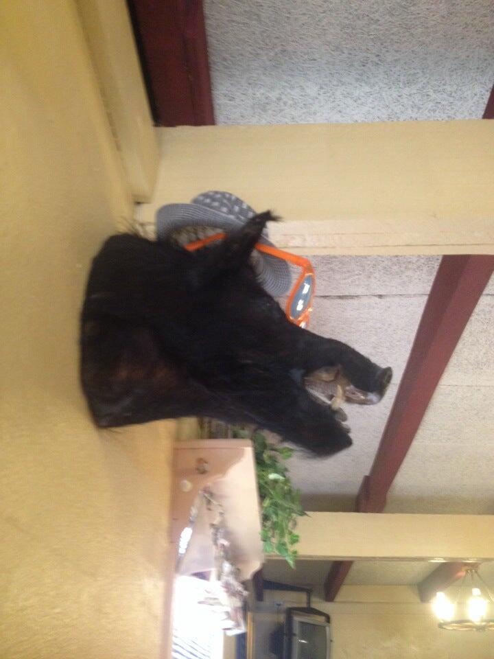 Photo credit: nextdoor