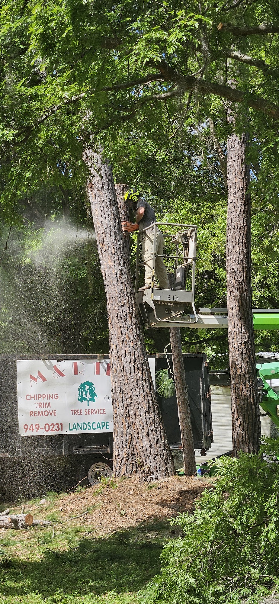 M & R Tree Services