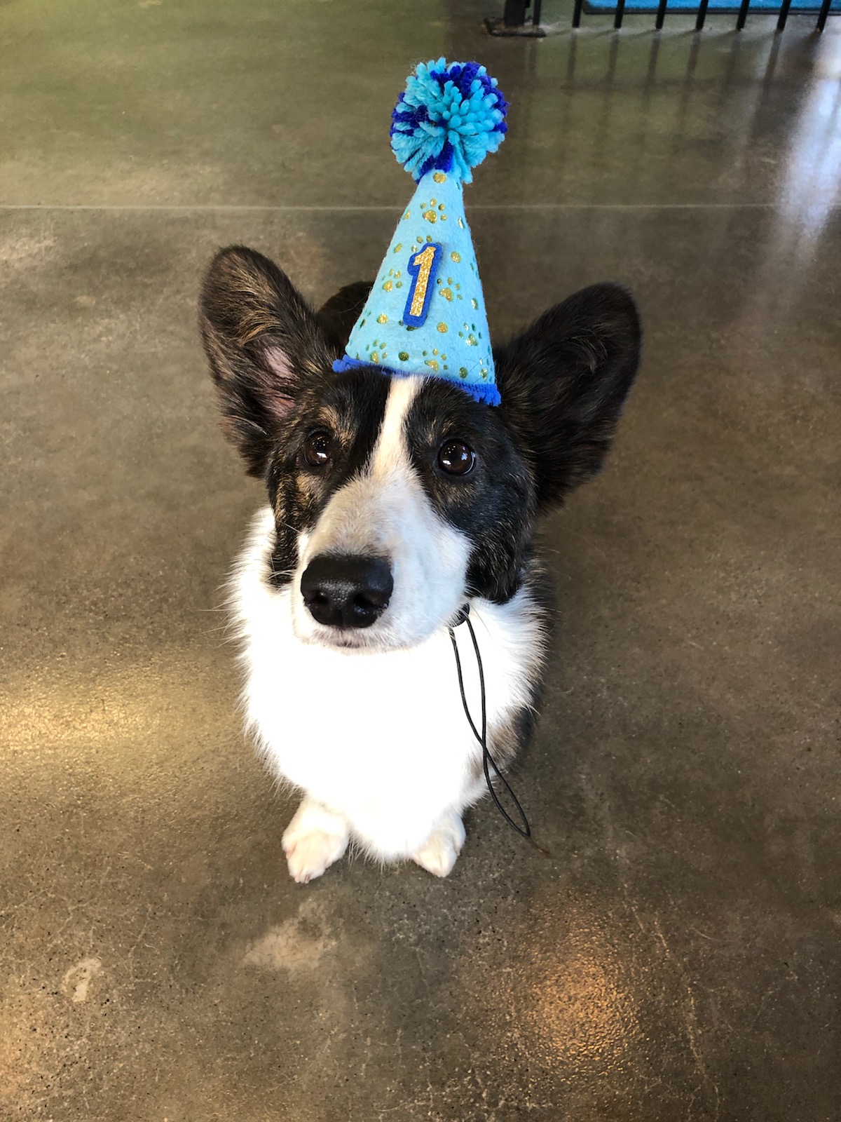 The Barker Lounge Alpharetta