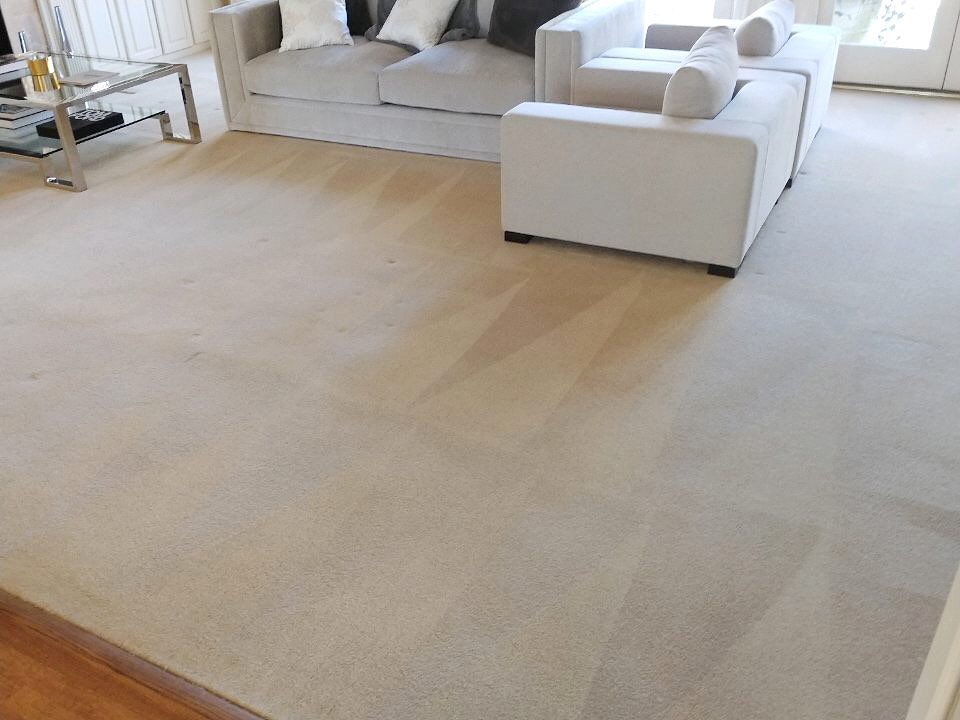 Safe-Dry Carpet Cleaning of Alpharetta