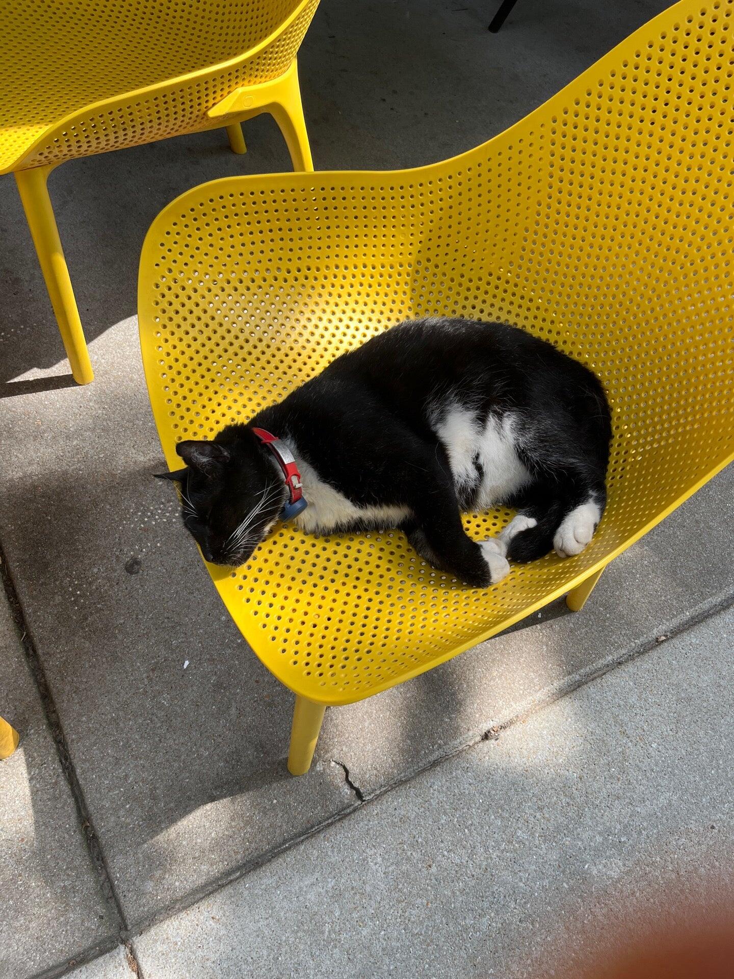 Photo credit: nextdoor