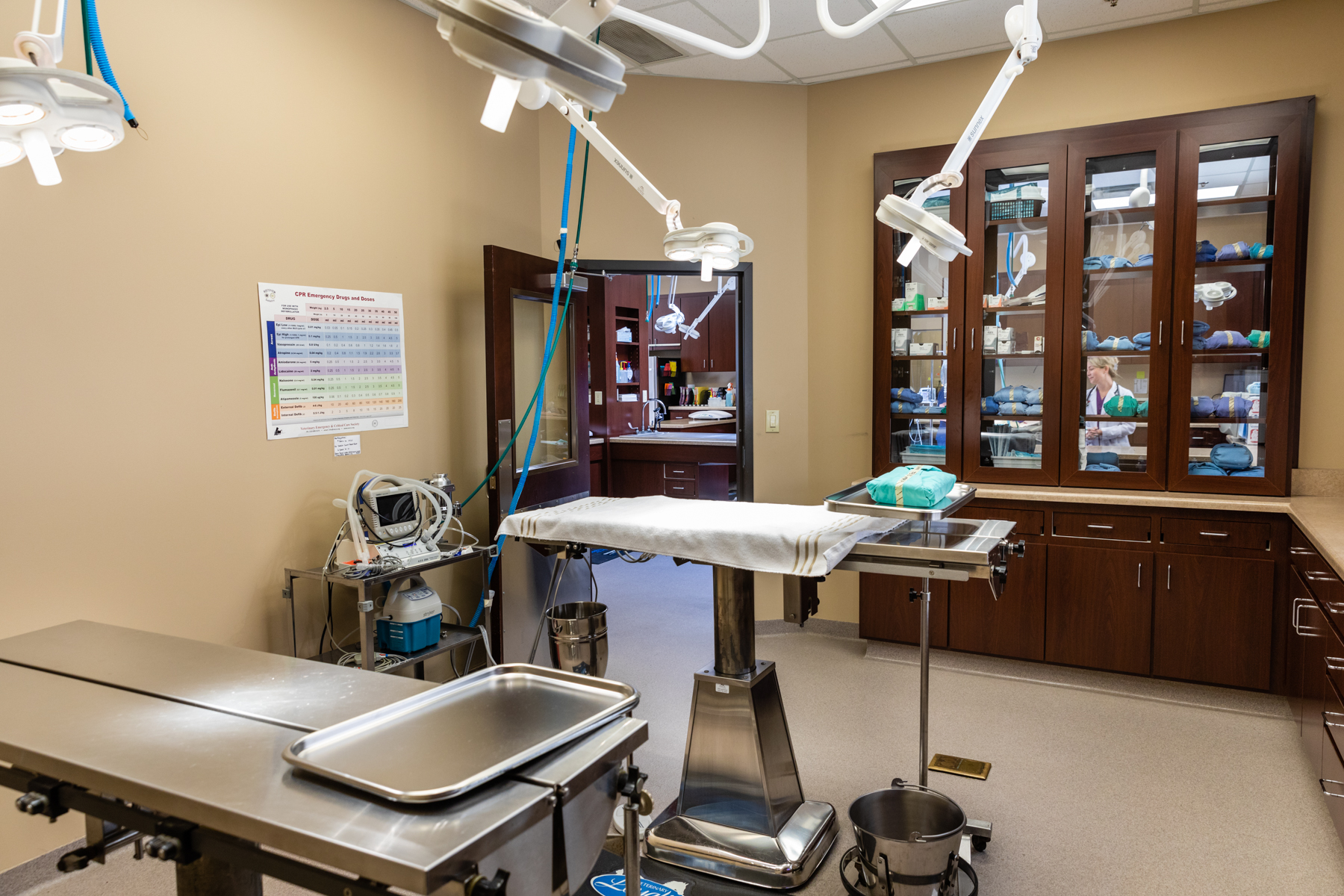 Powers Ferry Animal Hospital Atlanta