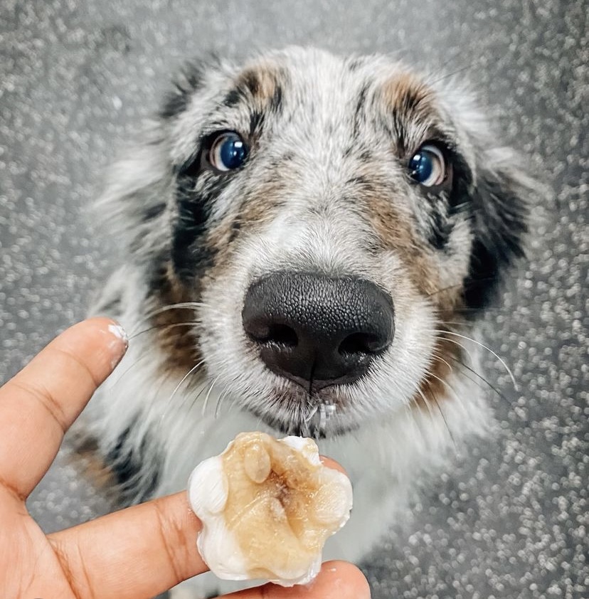 Dogtopia of Sandy Springs Atlanta