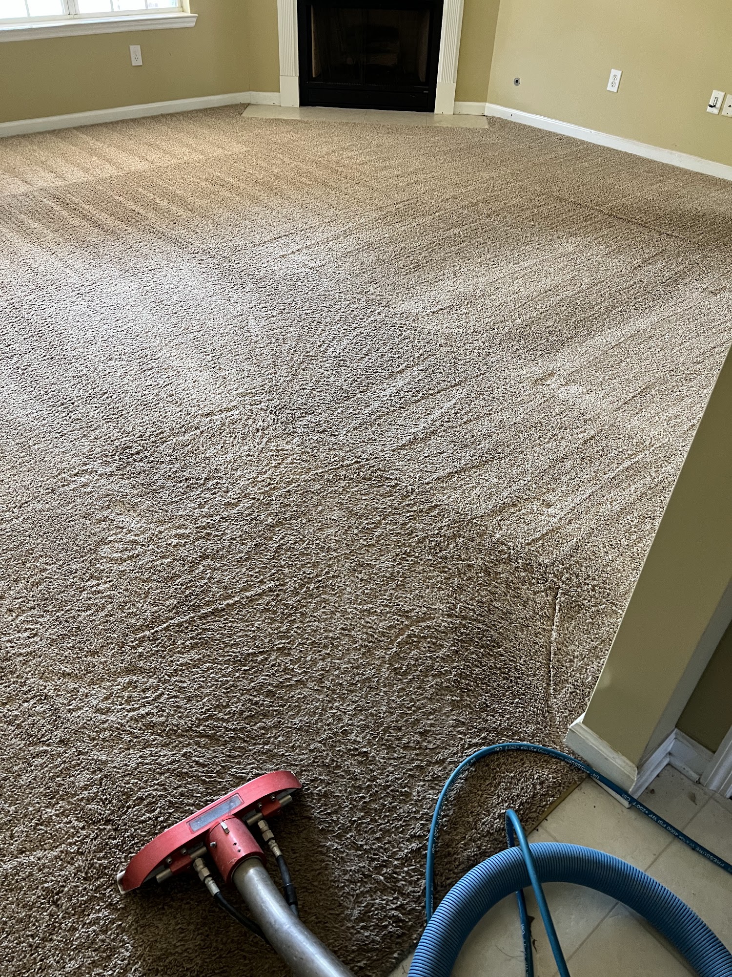 Quay's Carpet Cleaning Services