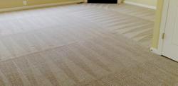 Quality carpet cleaning