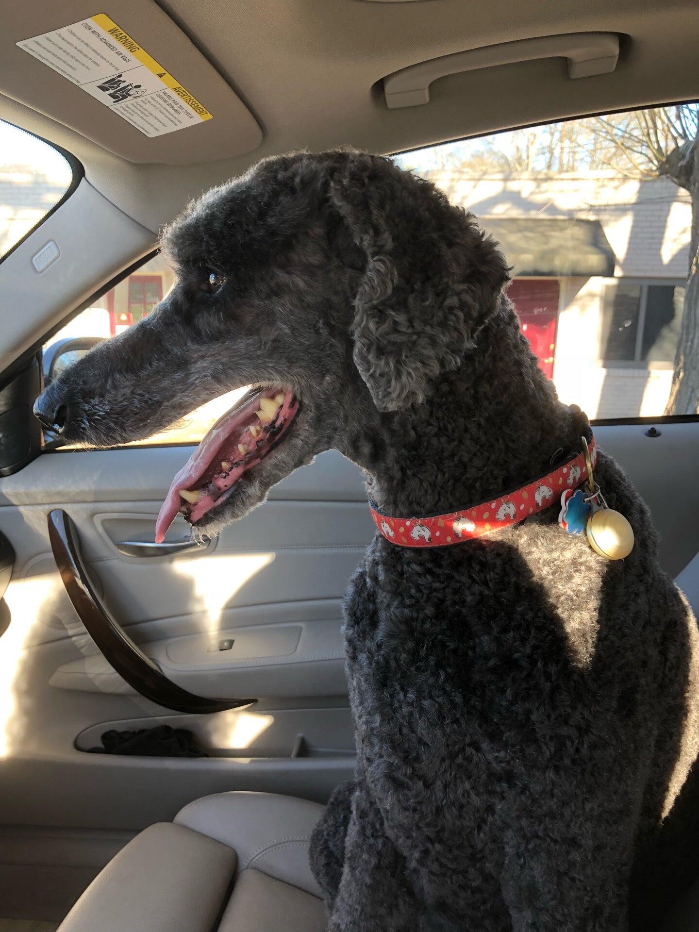 Avondale Yankee Clipper Avondale Estates