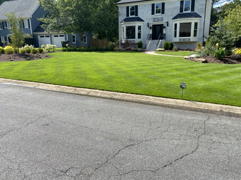 TurfMaxx Lawn Care