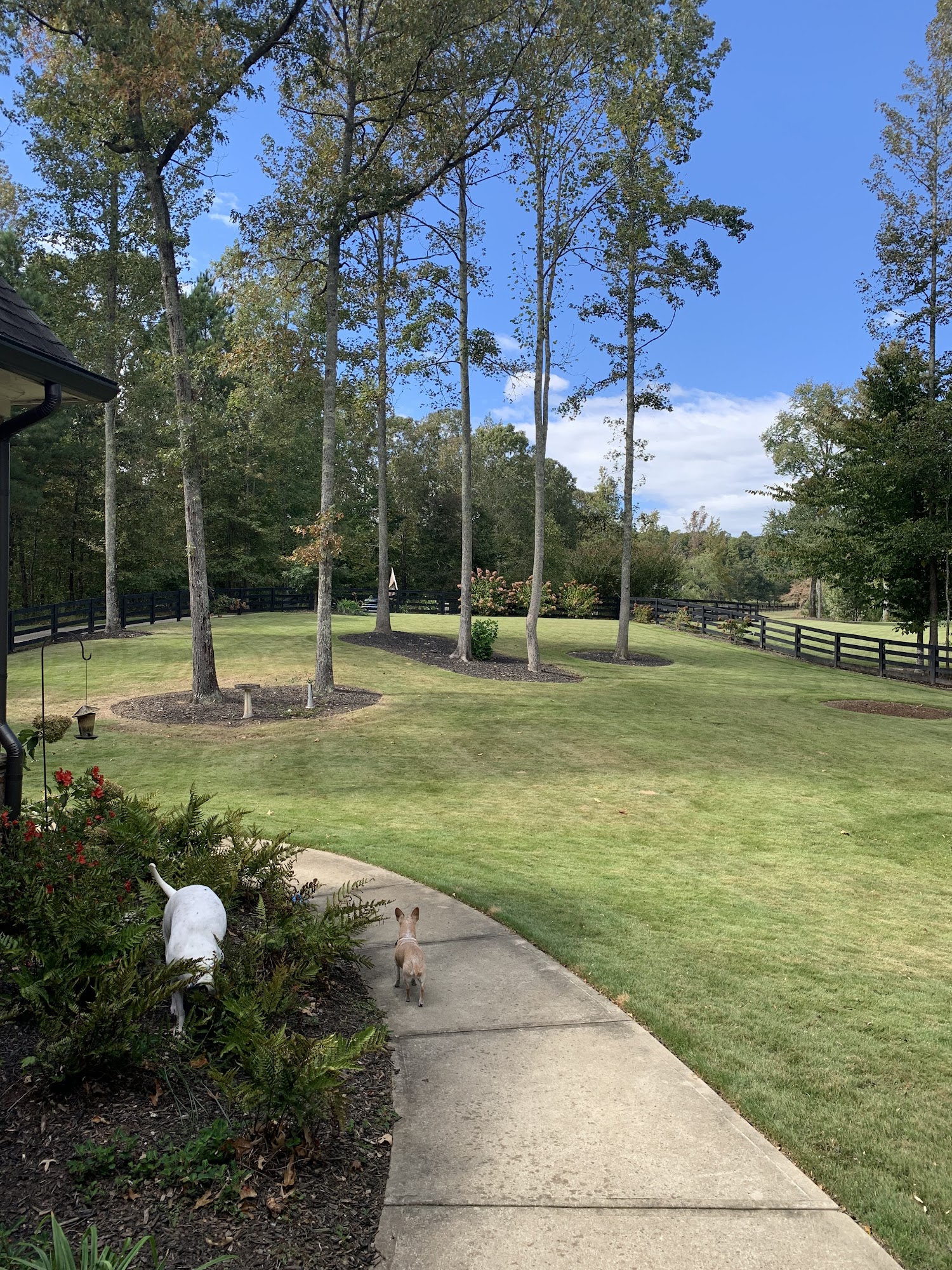 Rucker Landscape & Irrigation