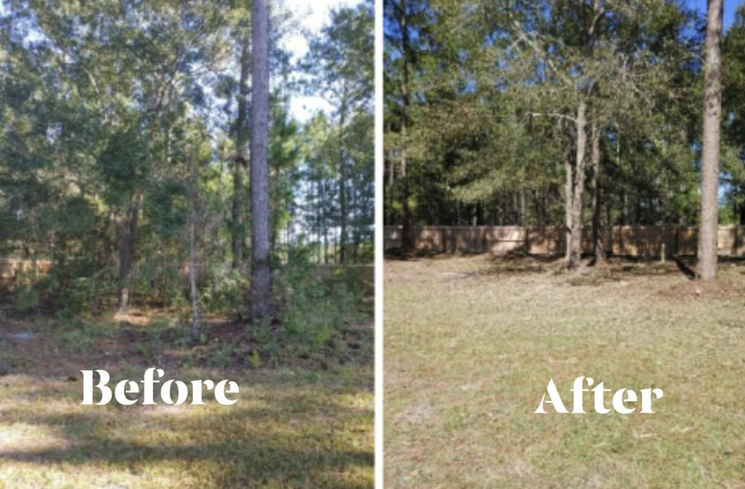 Absolute Brush Cutting and Beautification LLC Reedsville Rd, Clyo Georgia 31303