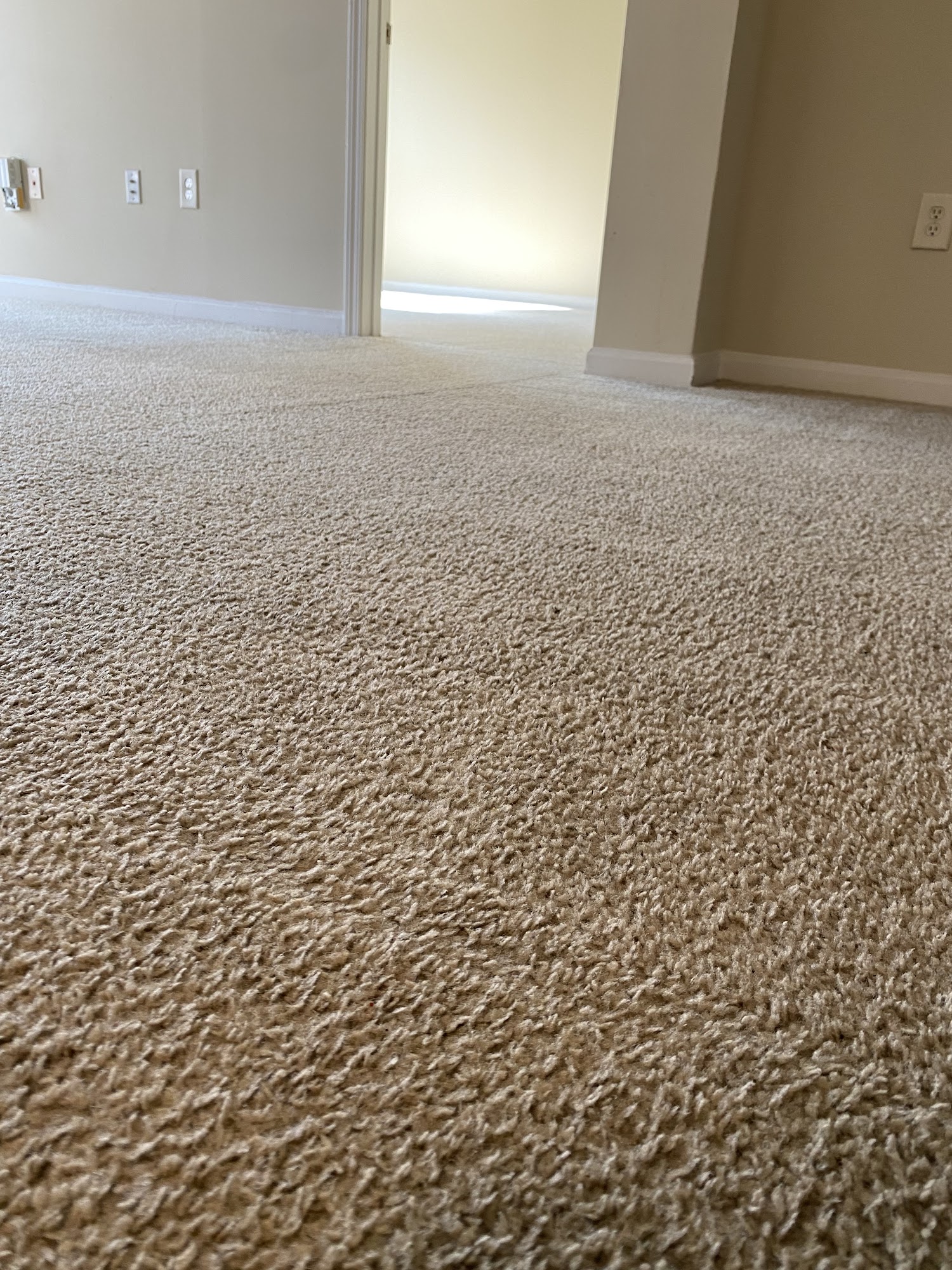 Best Carpet Cleaning Services, LLC