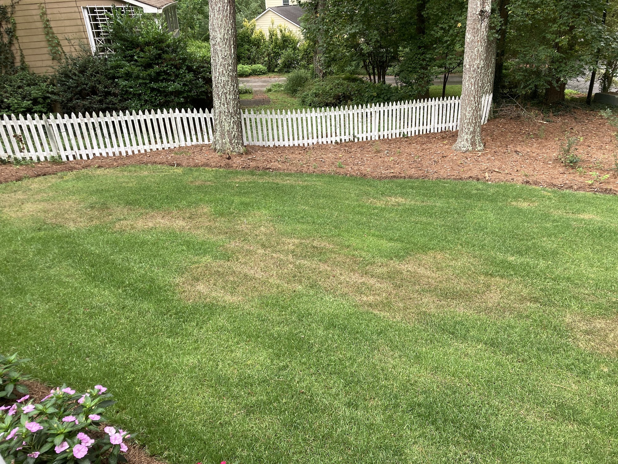 TruGreen Lawn Care