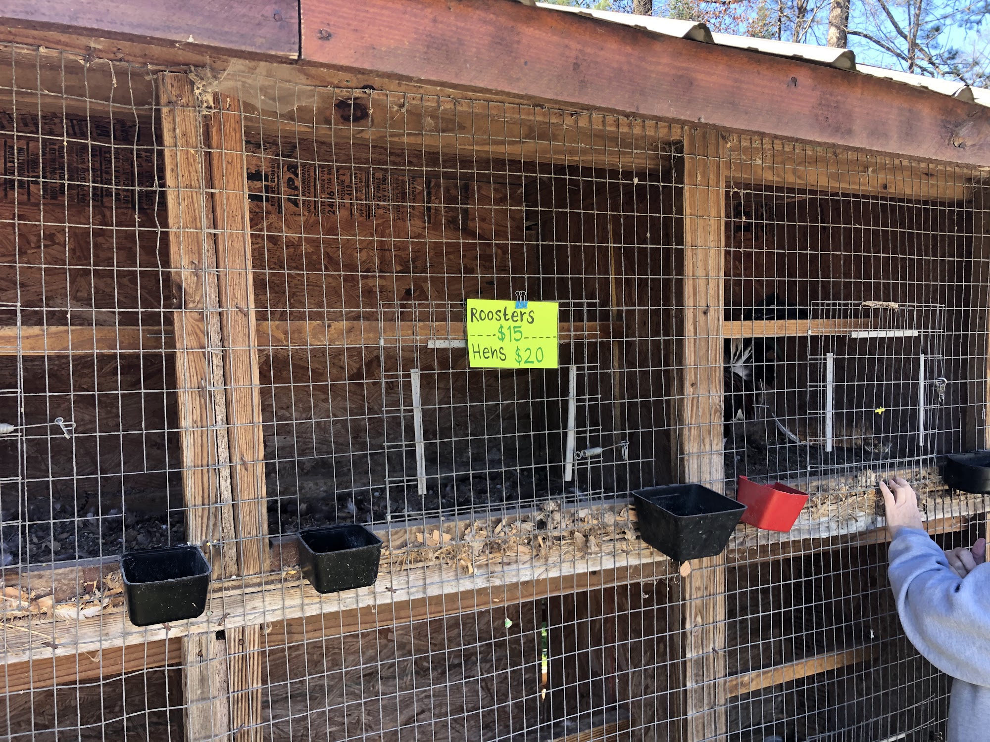 Uncle B's Feed & Mobile Home Spl Ellijay