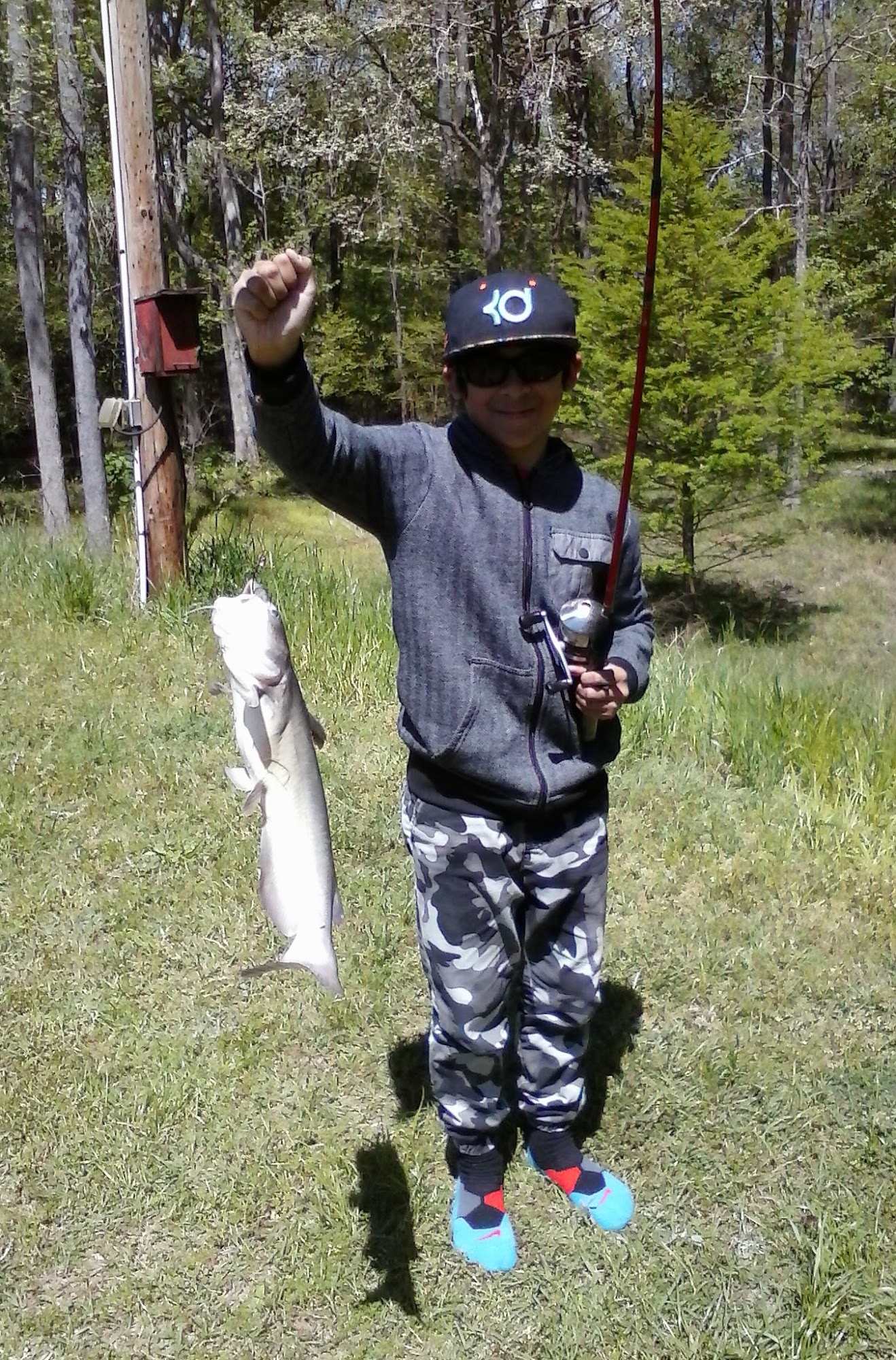 Springwood Pet Boarding And Grooming Hephzibah