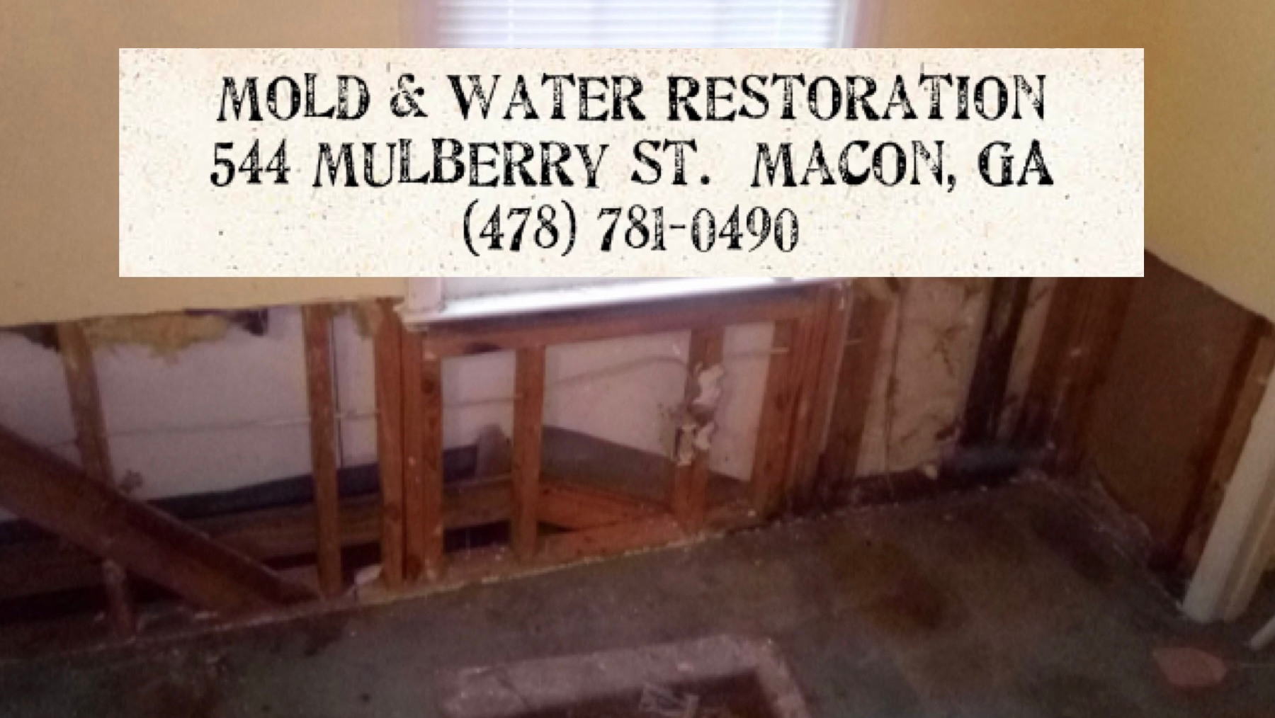 Mold & Water Restoration