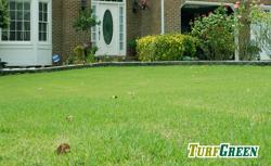 TurfGreen Lawn Services