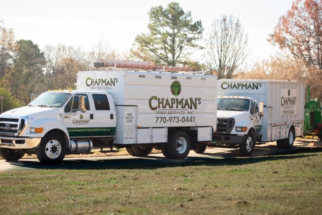 Chapman's Tree Service Inc.