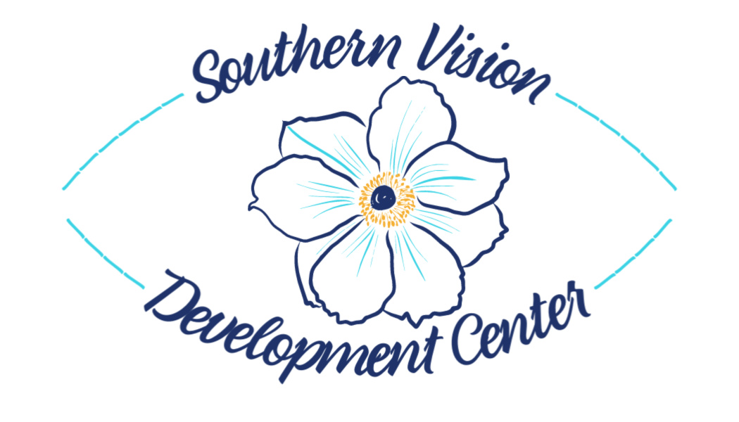 Southern Vision Development Center