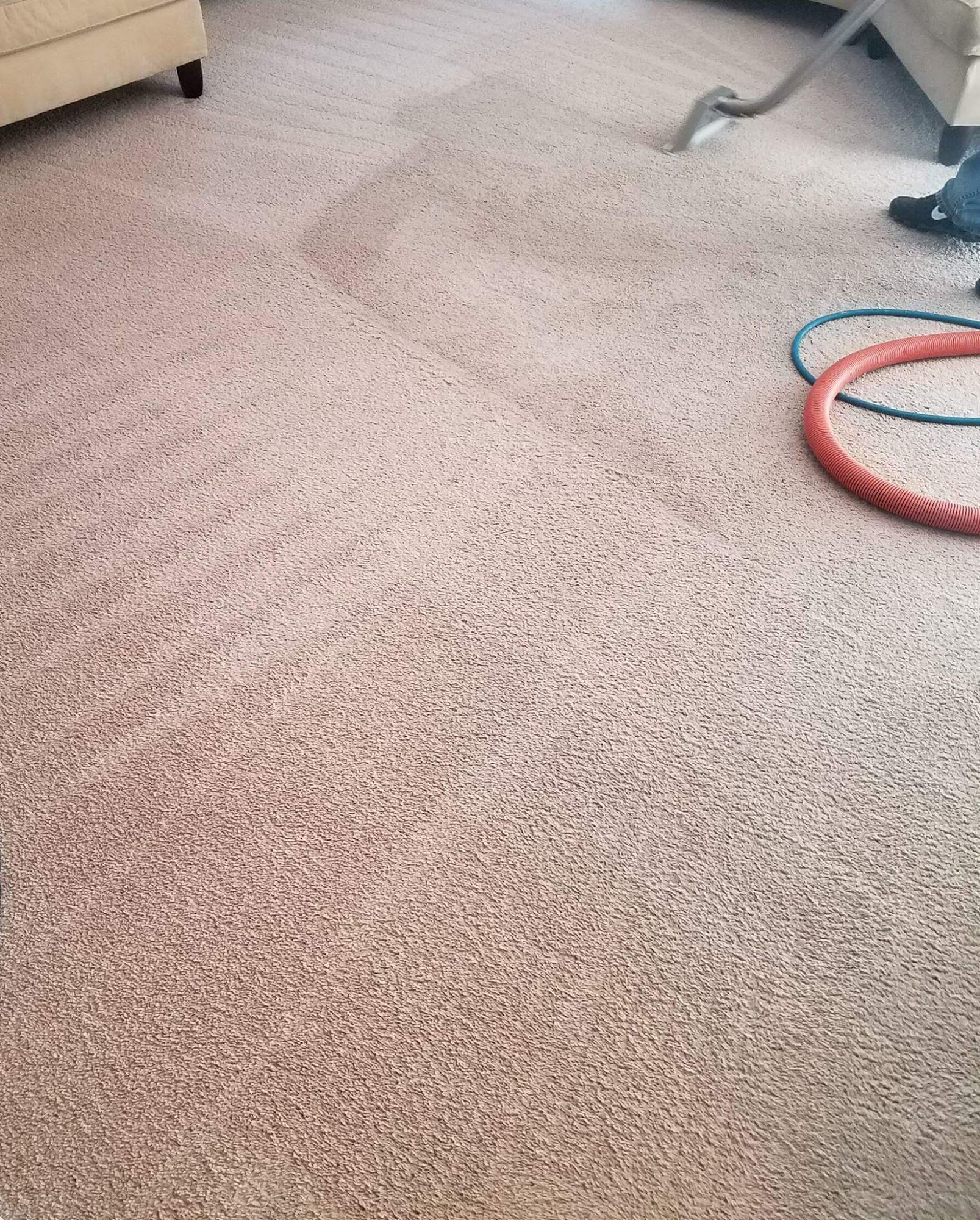 Tru-Steam Carpet & Upholstery Cleaning