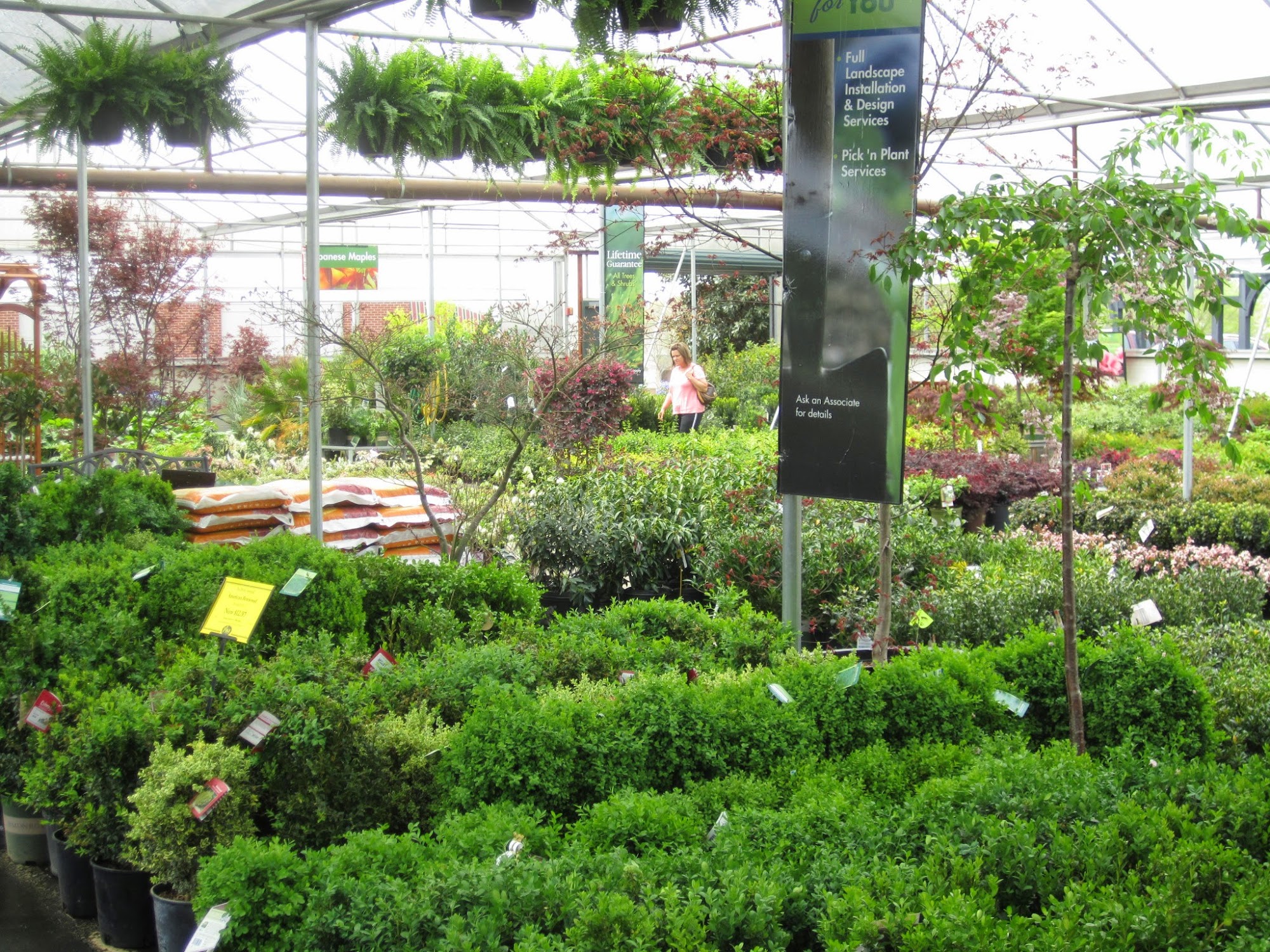 Pike Nurseries