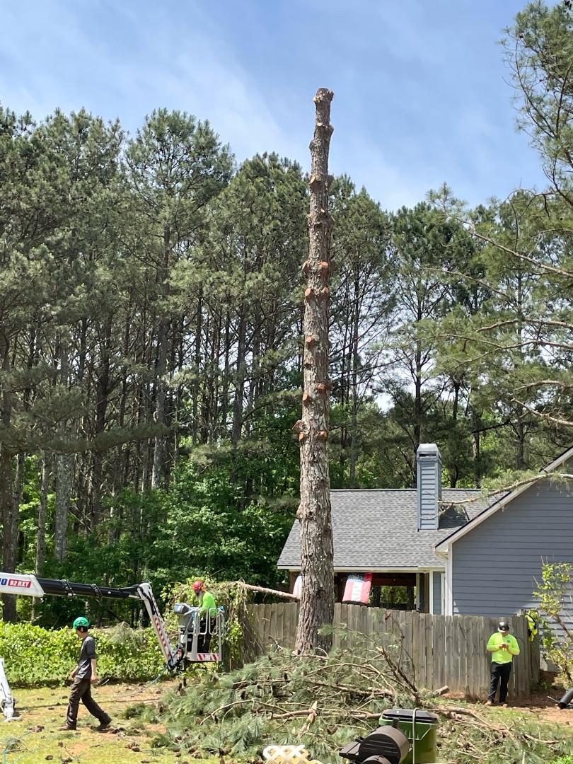 Southern Scapes Tree Experts 211 Stewart Rd, Sharpsburg Georgia 30277