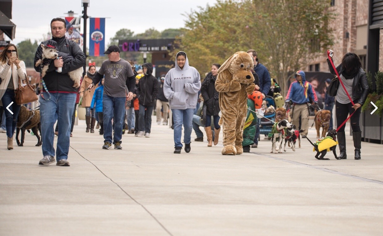 Paws Amore Pet Sitting and Dog Walking Smyrna