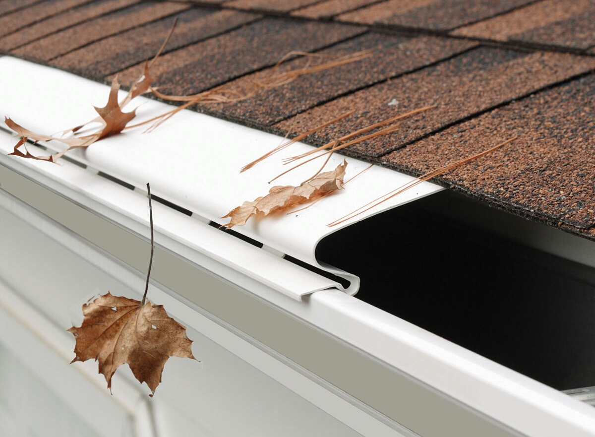 Pro Gutter Cleaning