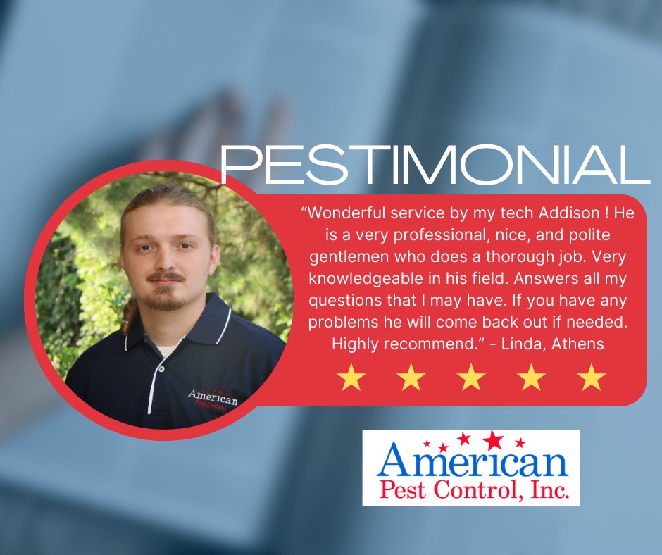 American Pest Control, Inc. 667 W Currahee St, Toccoa Georgia 30577