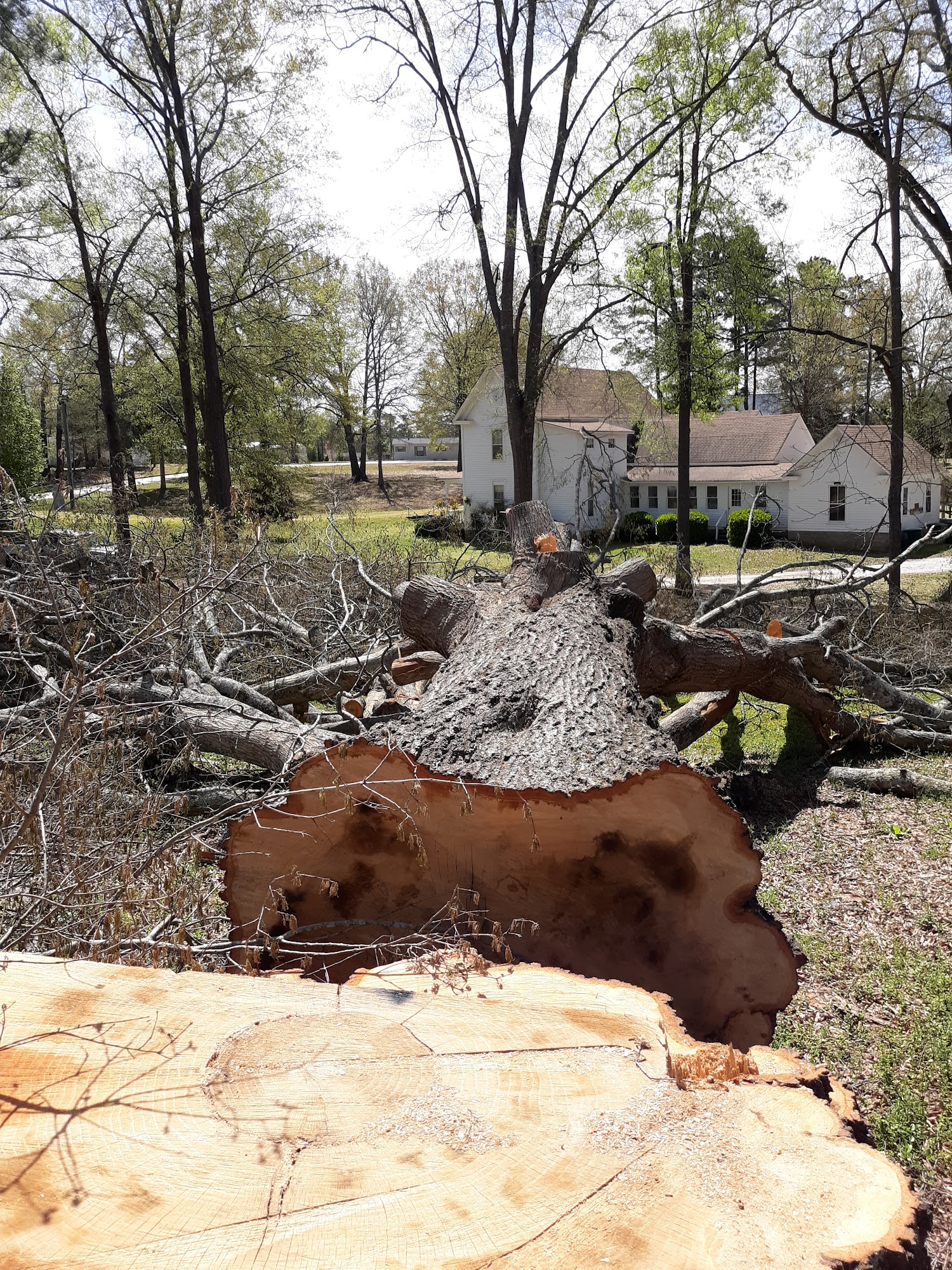 Schebler Tree Services & Removal 5290 Lincolnton Rd, Washington Georgia 30673