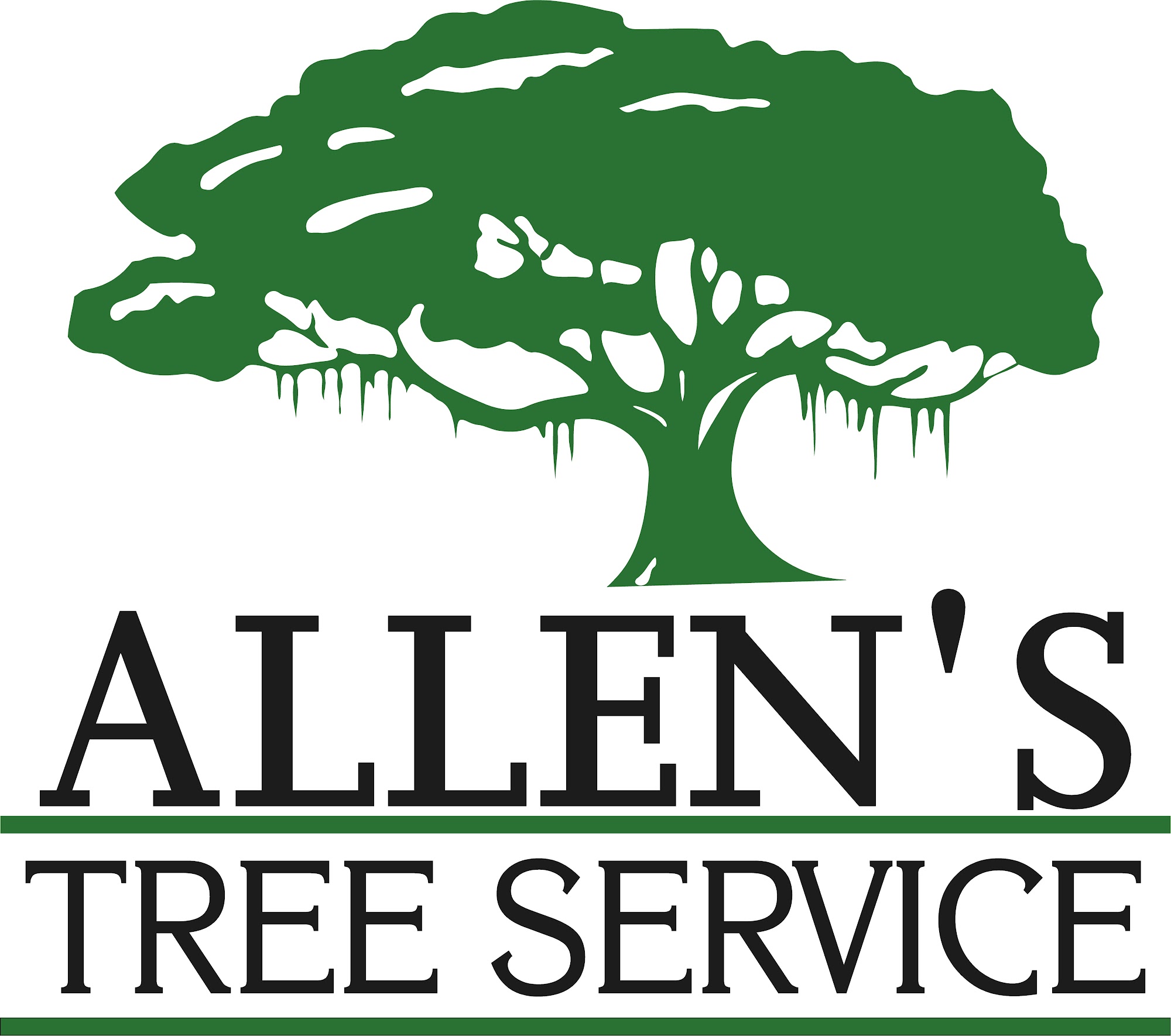 Allen's Tree Service 375 Halifax Rd, Woodbine Georgia 31569