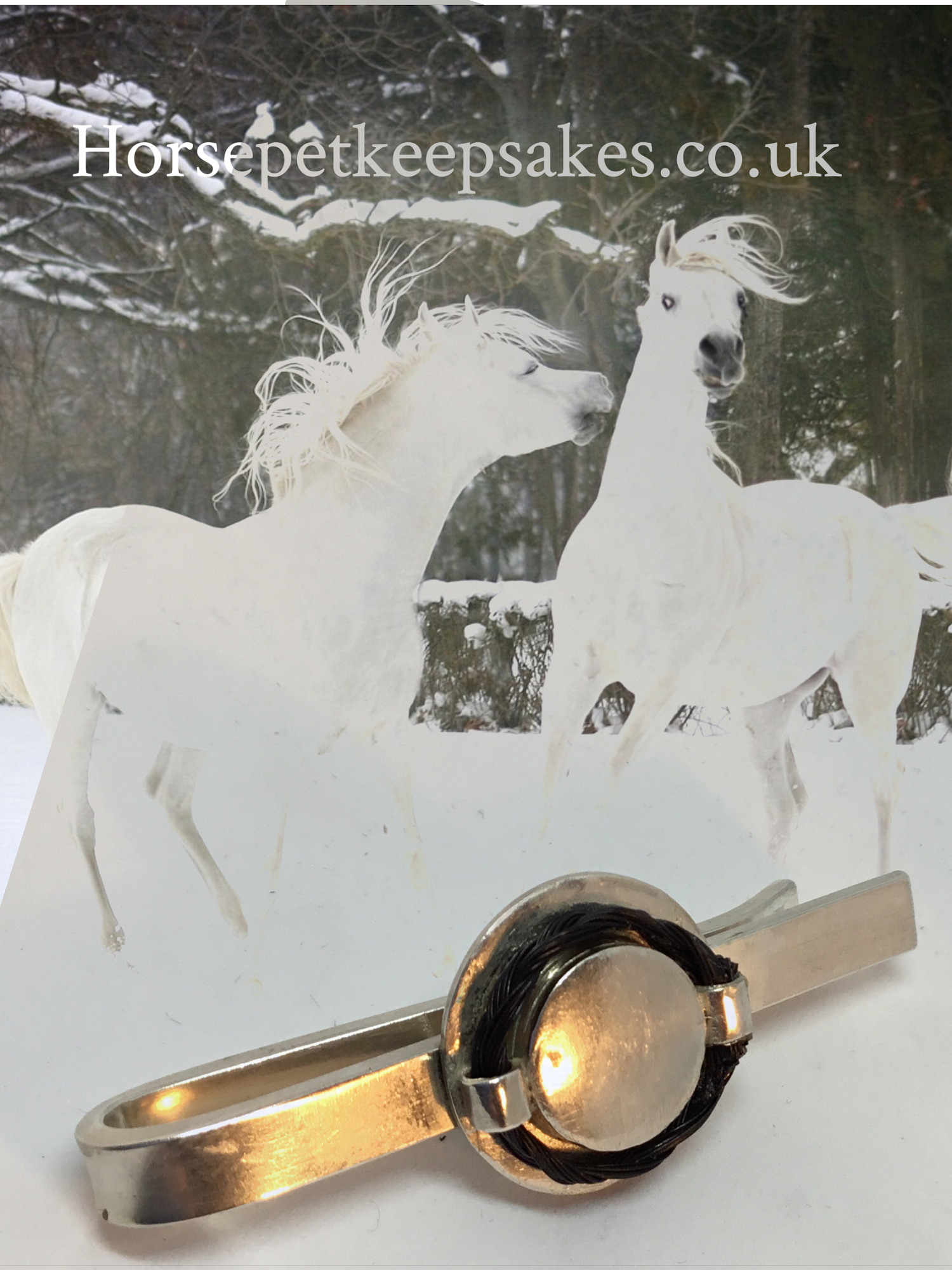Horse Pet Keepsakes
