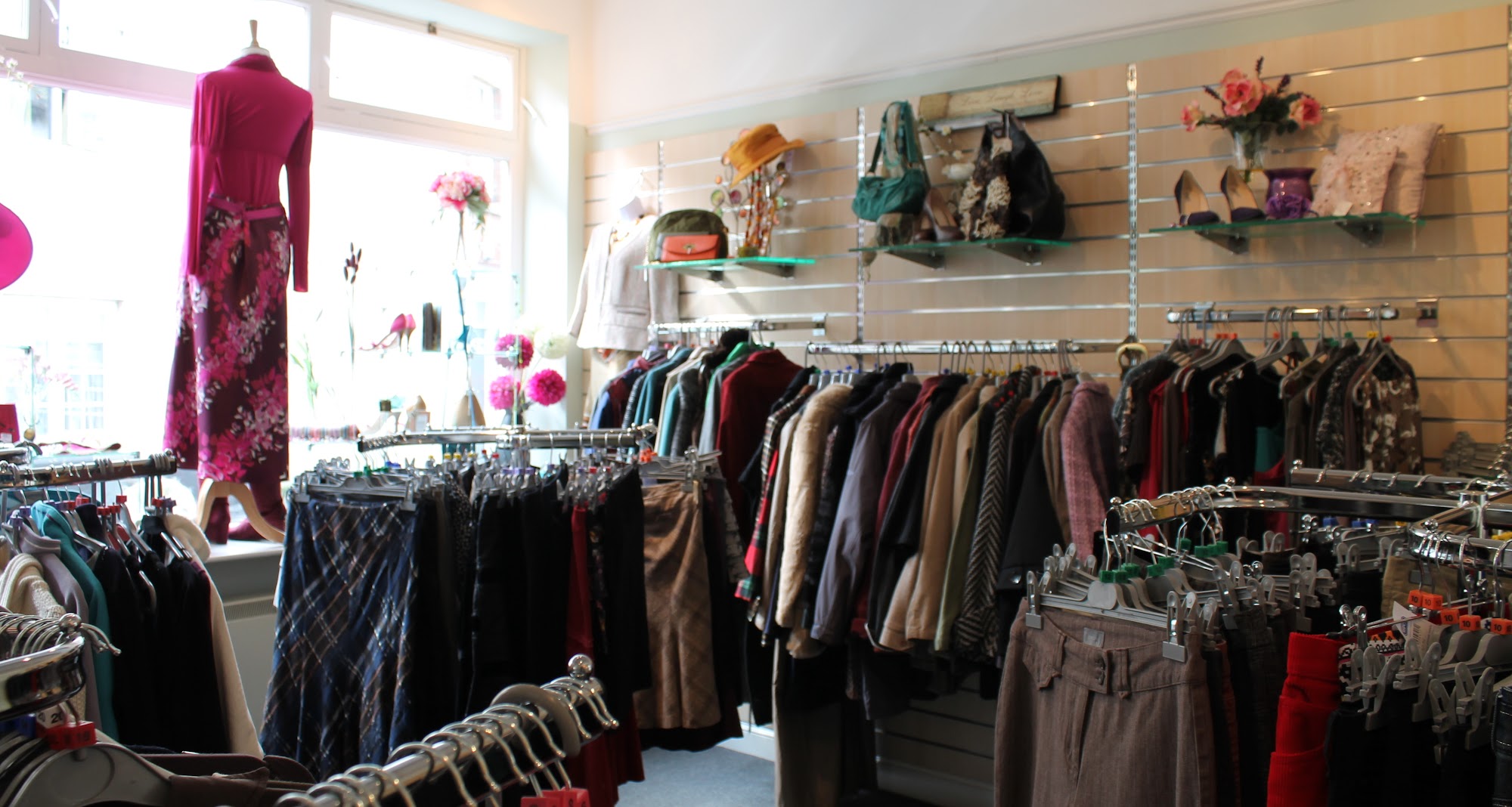 Cotswold Dogs and Cats Nailsworth