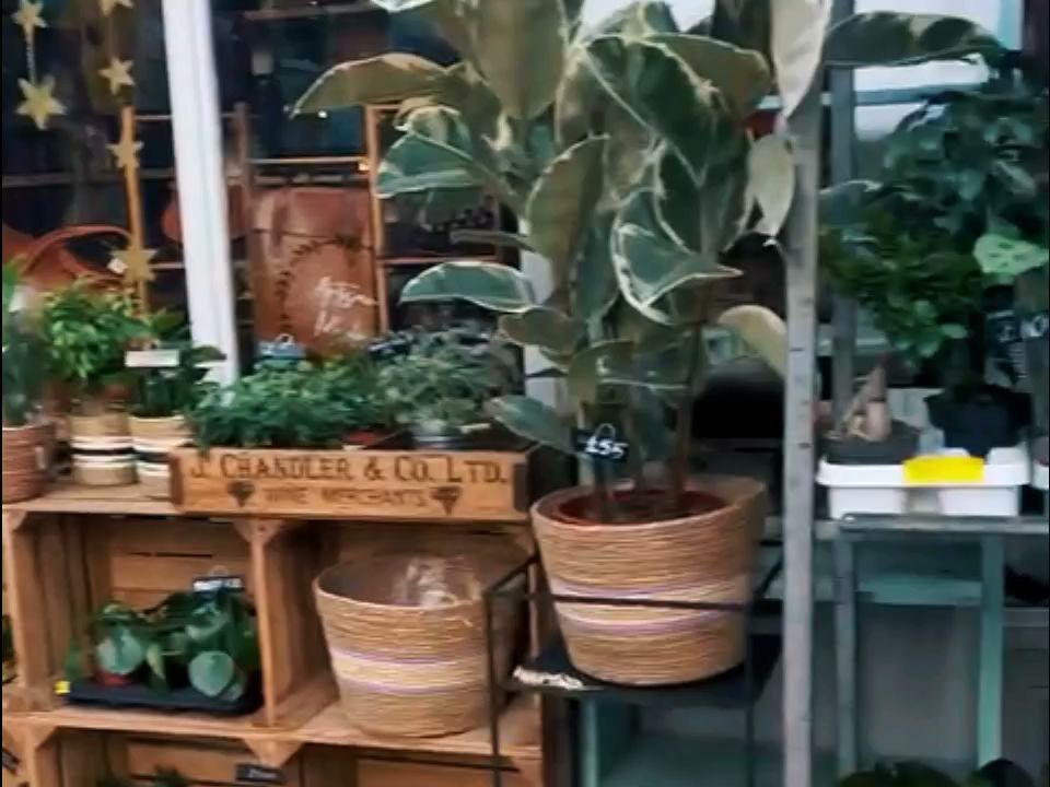 Artisan Stories -Interiors and Home Accessories Store
