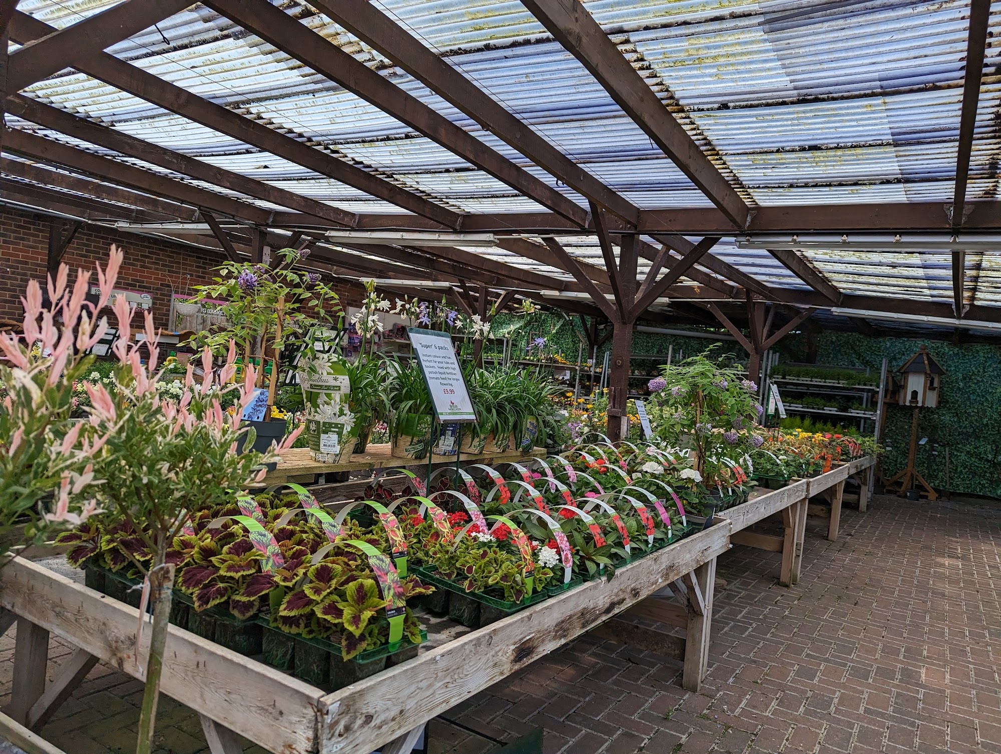 Lewes Garden Centre