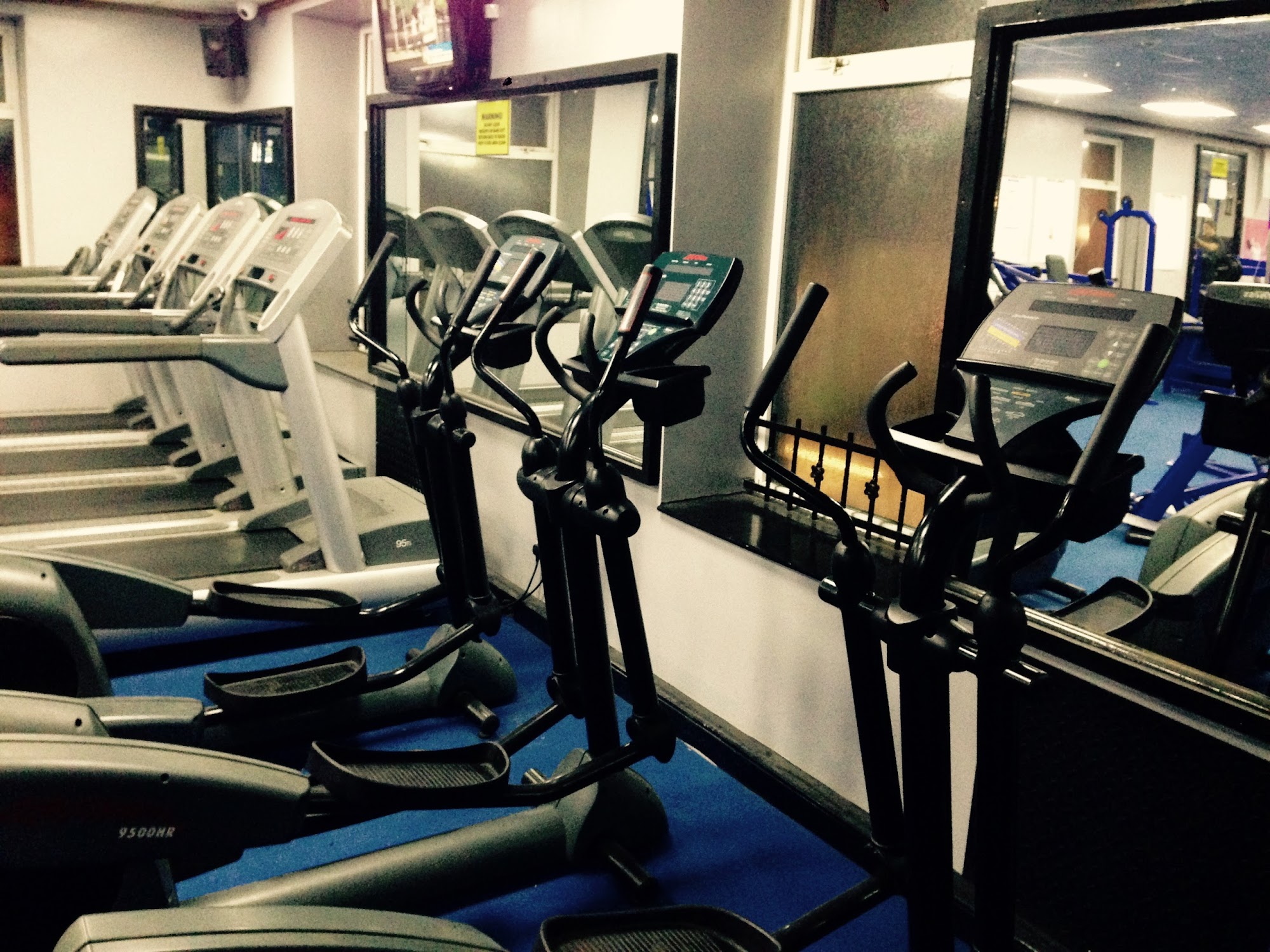Muscle & Fitness Gym