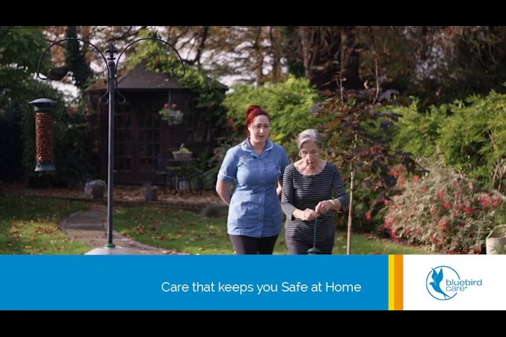 Bluebird Care Southampton